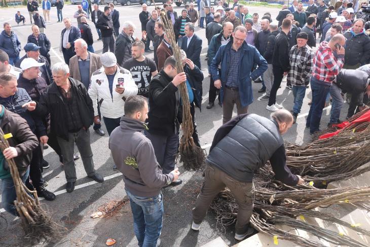 TİKA'dan Makedonya'da Ceviz Yetiştiriciliğine Destek