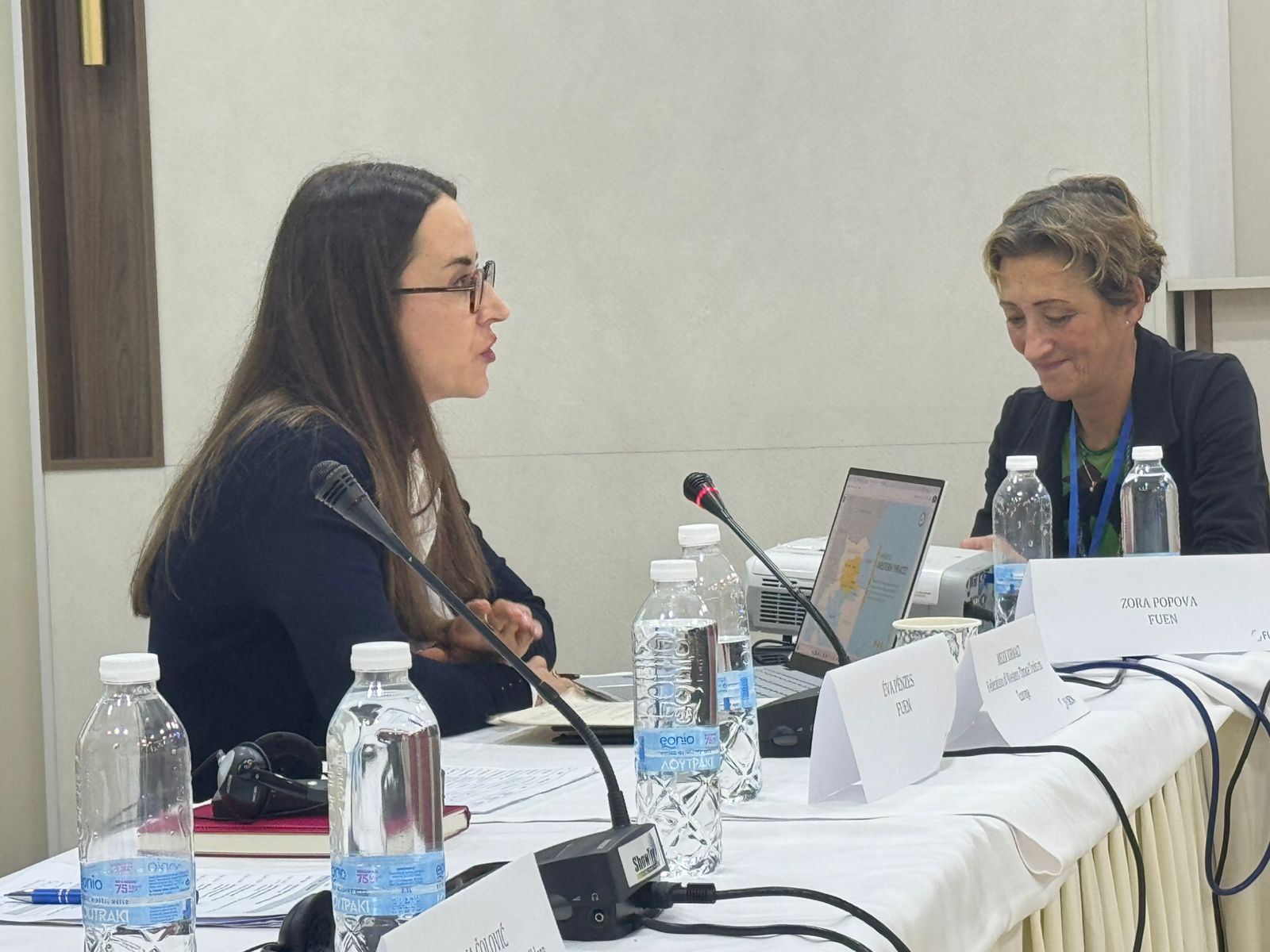 Turkic minorities and communities participated in the 7th annual meeting of the FUEN Education Working Group